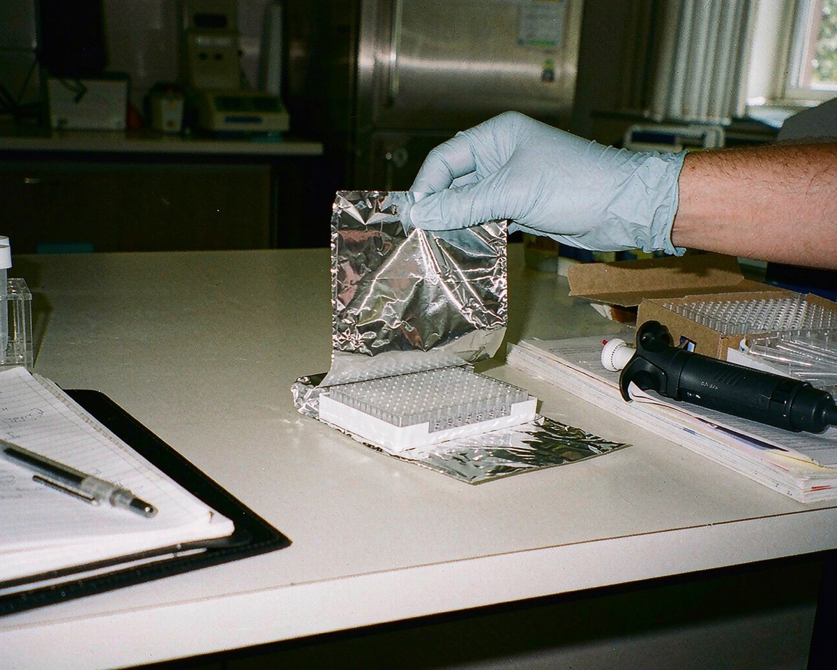 what consumables does pcr and qpcr work need featured image