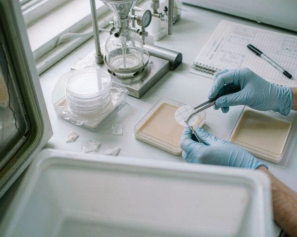 usp 61 microbial limits consumables